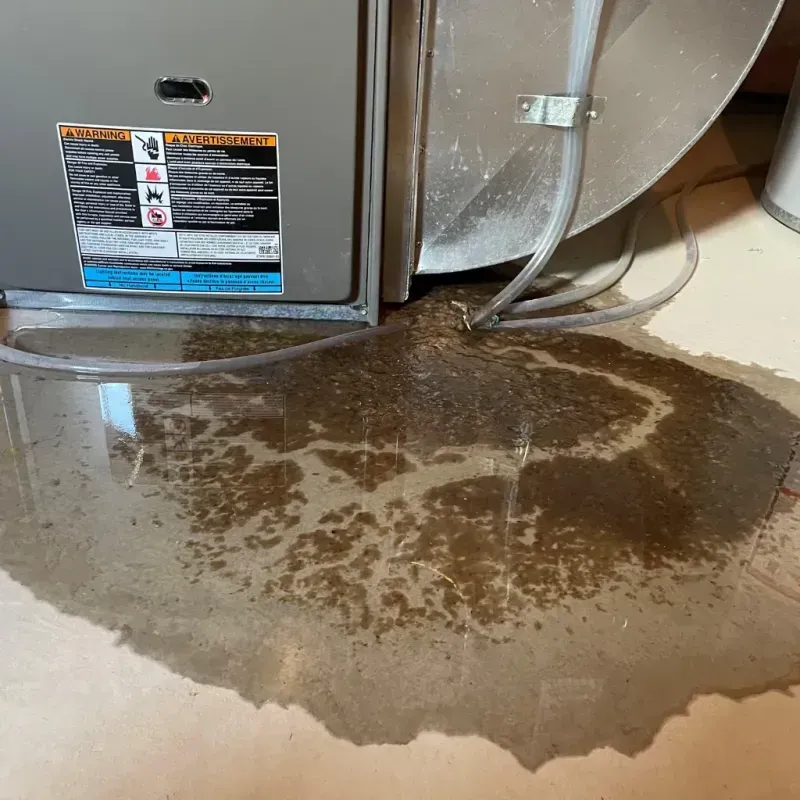 Appliance Leak Cleanup in Shelby, NC